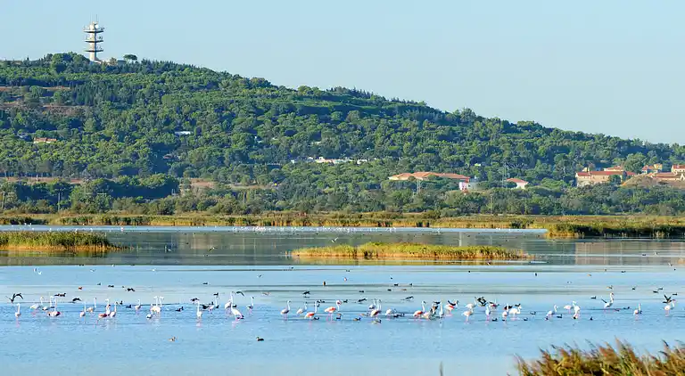 Feriebolig i Occitanie
