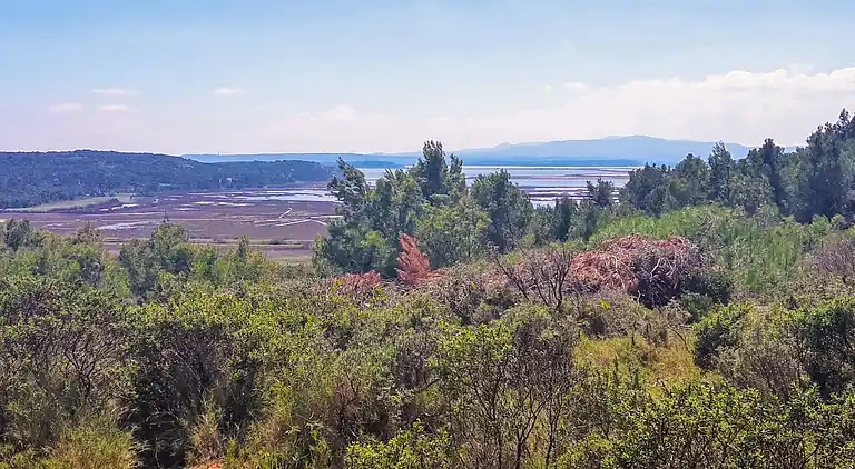 Holiday home in Montredon-des-Corbières