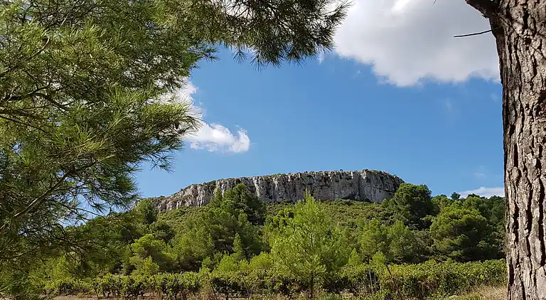 Holiday home in Montredon-des-Corbières