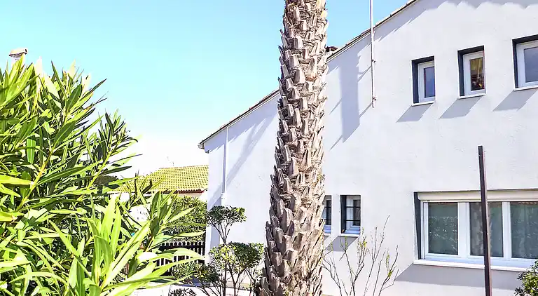 Holiday home in Montredon-des-Corbières