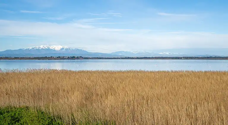 Feriebolig i Occitanie