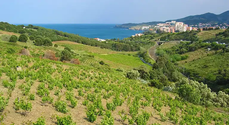 Feriebolig i Occitanie