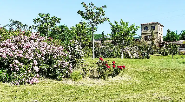 Feriebolig i Occitanie