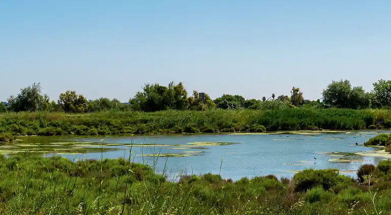 Feriebolig i Fabrègues