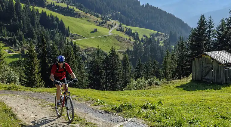 Holiday home in Bourg-Saint-Maurice