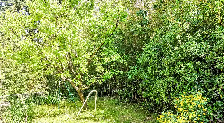 Holiday home in Occitanie