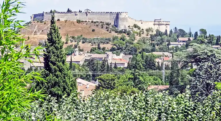 Holiday home in Occitanie