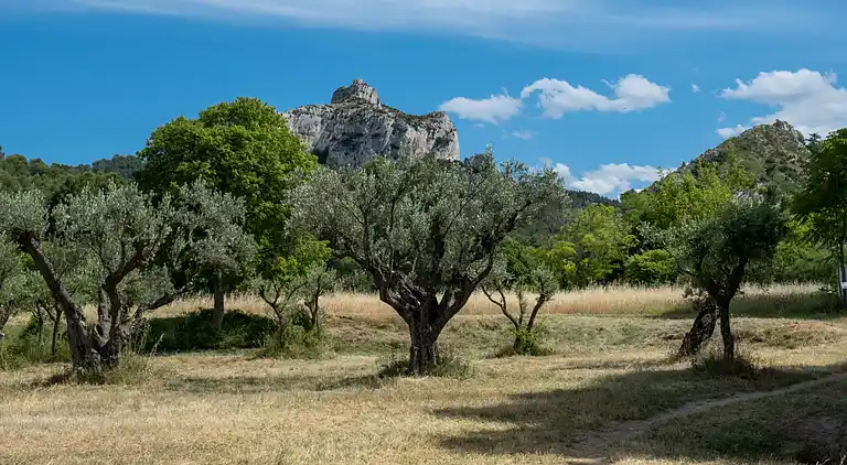 Feriebolig i Saint-Rémy-de-Provence
