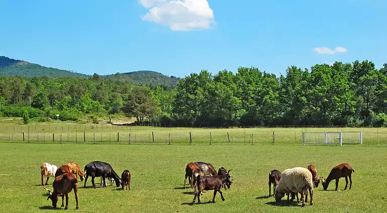 Vacation home in Artignosc-sur-Verdon