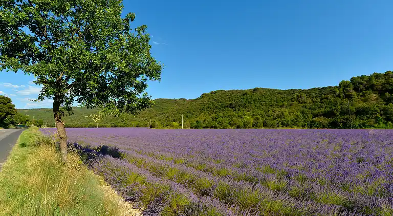 Holiday home in Le Beausset