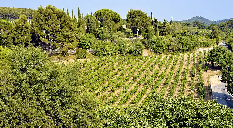 Holiday home in Le Beausset
