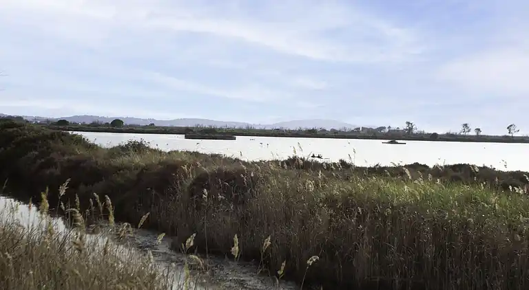 Holiday home in Le Port