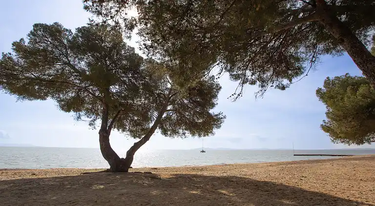 Holiday home in La Londe-les-Maures