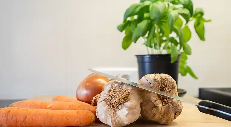 Holiday home in Le Plan-de-la-Tour