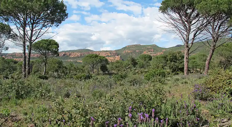 Feriebolig i La Motte