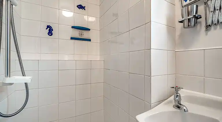 Feriebolig i Gorran Haven