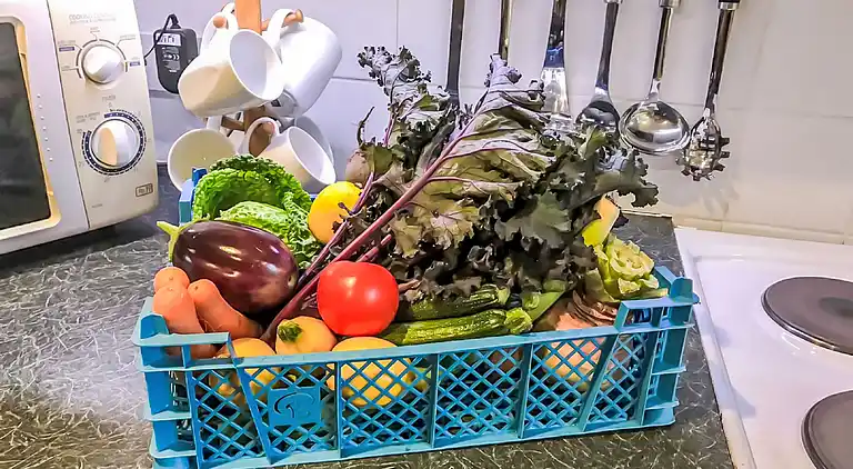 Holiday home in St Davids