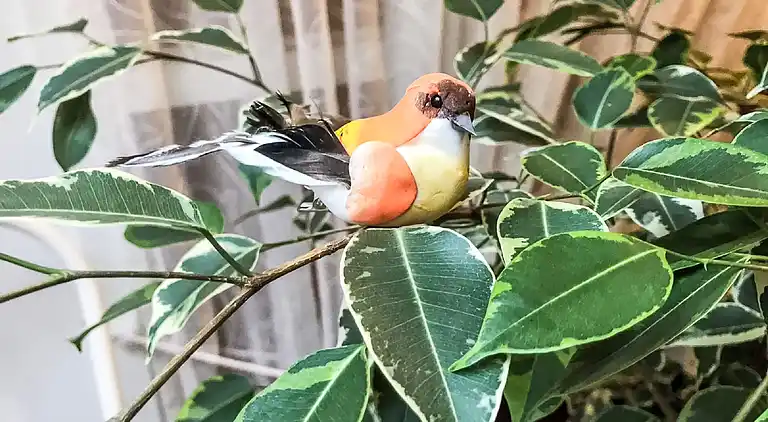 Holiday home in St Davids