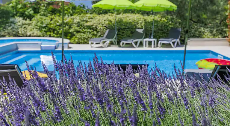 Holiday home in Buje