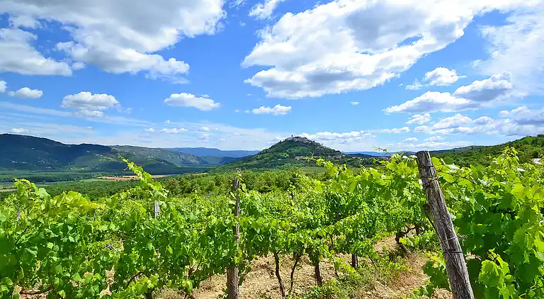 Feriebolig i Motovun