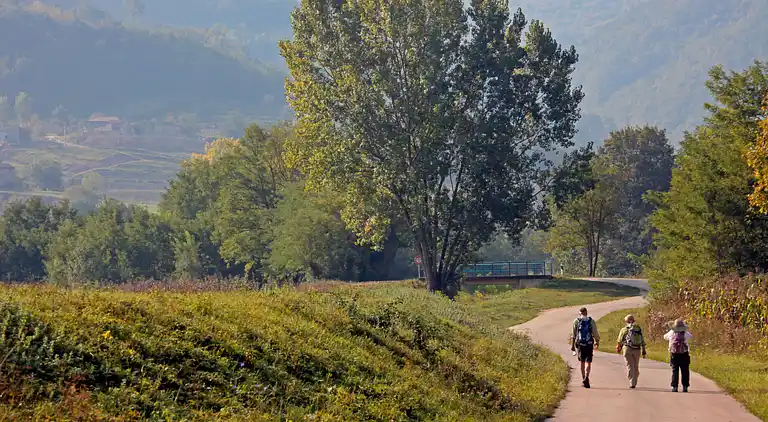 Feriebolig i Motovun