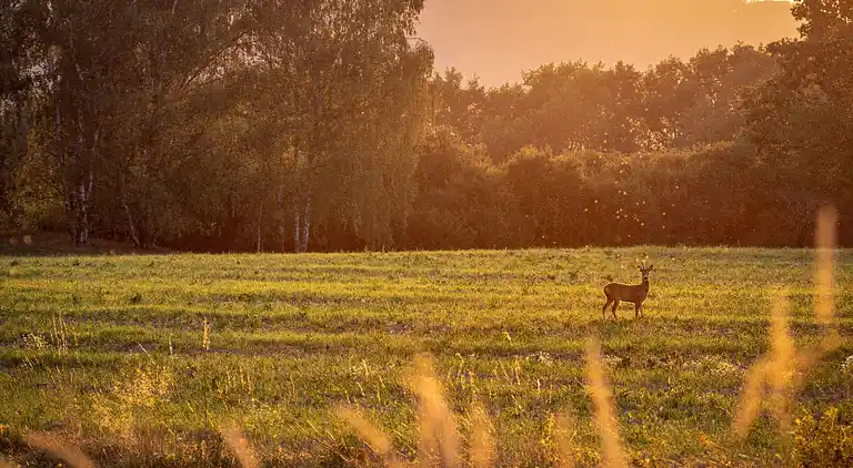 Holiday home in Buzet