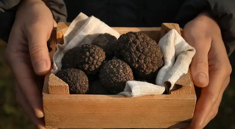 Holiday home in Buzet