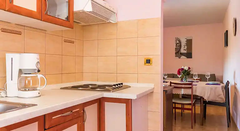 Feriebolig i Nova Vas