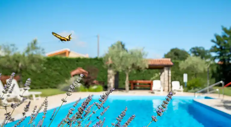 Feriebolig i Nova Vas