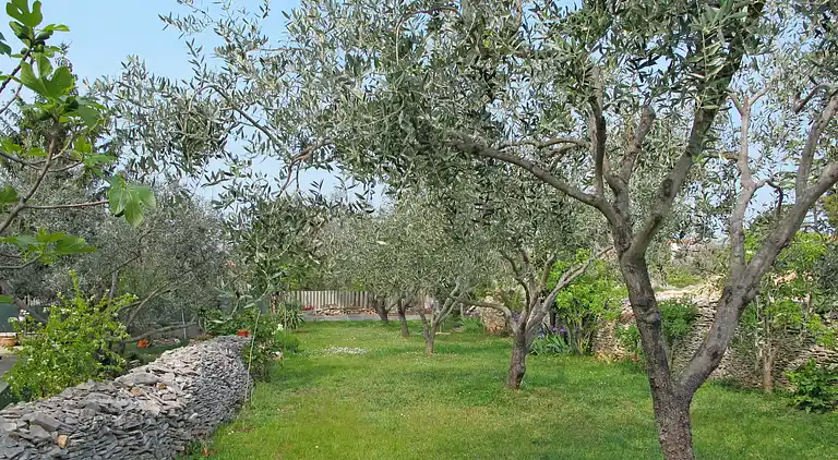 Holiday home in Vodnjan