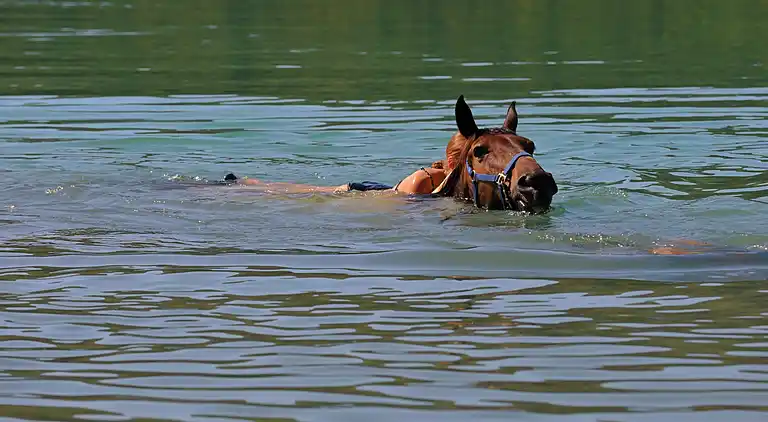 Holiday home in Barban