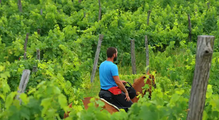 Holiday home in Barban