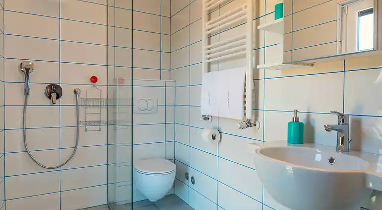 Feriebolig i Koromačno