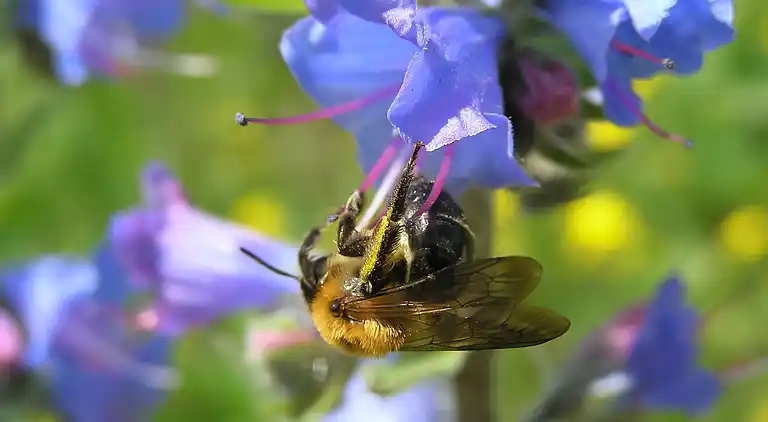 Vacation home in Mrkopalj