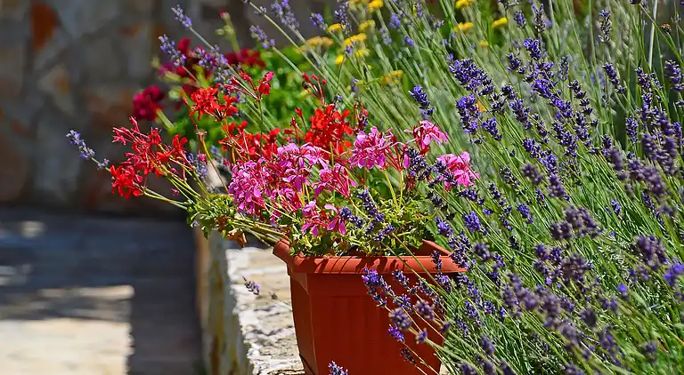 Holiday home in Brseč
