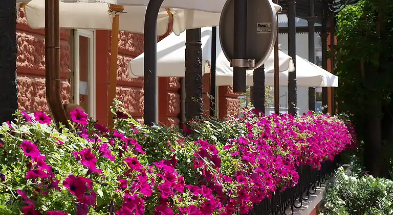 Feriebolig i Matulji