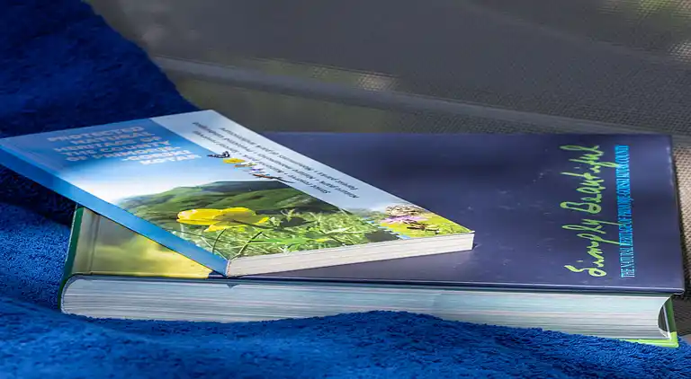 Feriebolig i Malinska