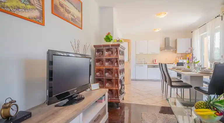 Holiday home in Drivenik