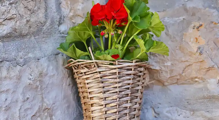 Holiday home in Sukošan