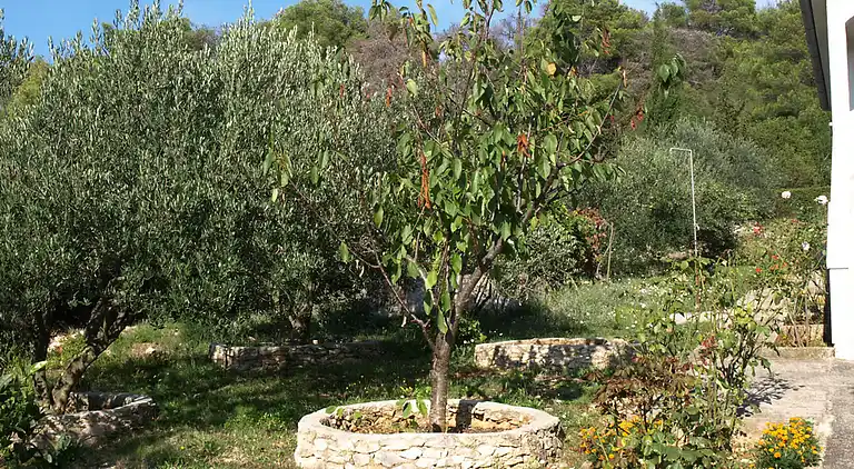 Holiday home in Zadar