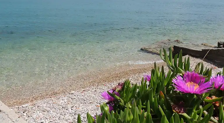 Holiday home in Kali