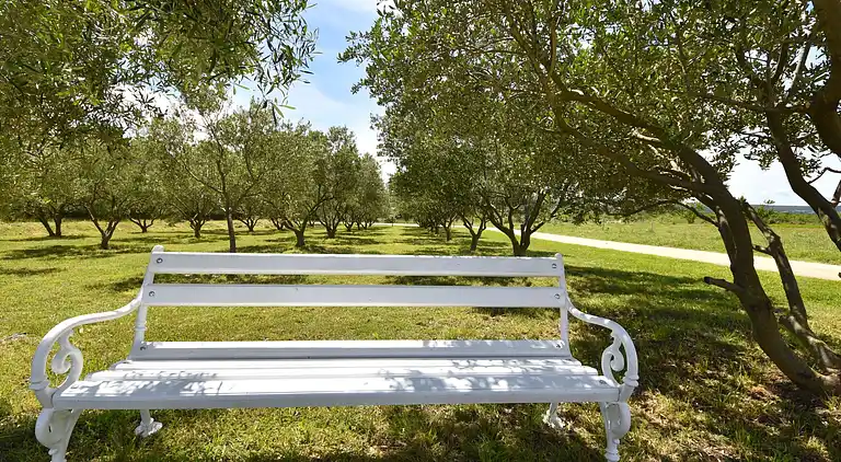 Holiday home in Polača