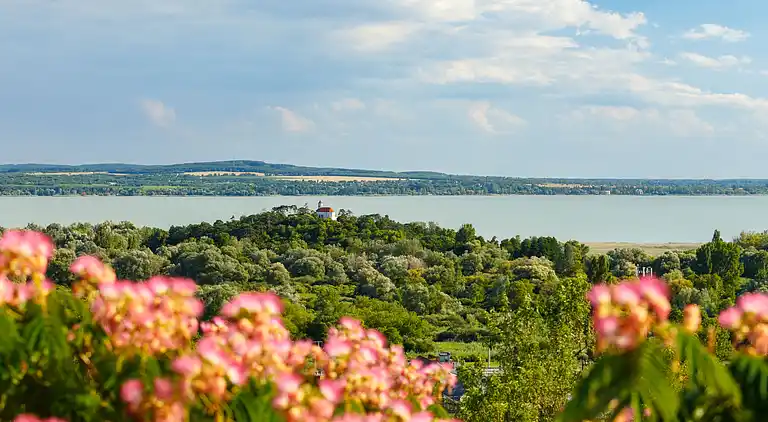 Feriebolig i Vonyarcvashegy