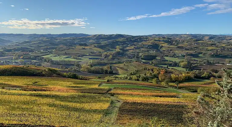 Feriebolig i Costigliole d'Asti