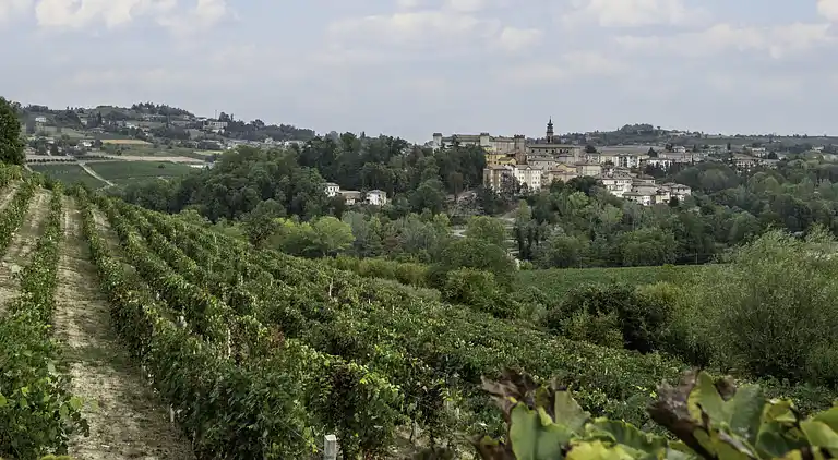 Feriebolig i Alliere