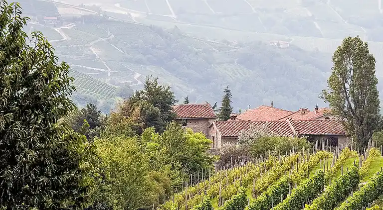 Feriebolig i Trezzo Tinella