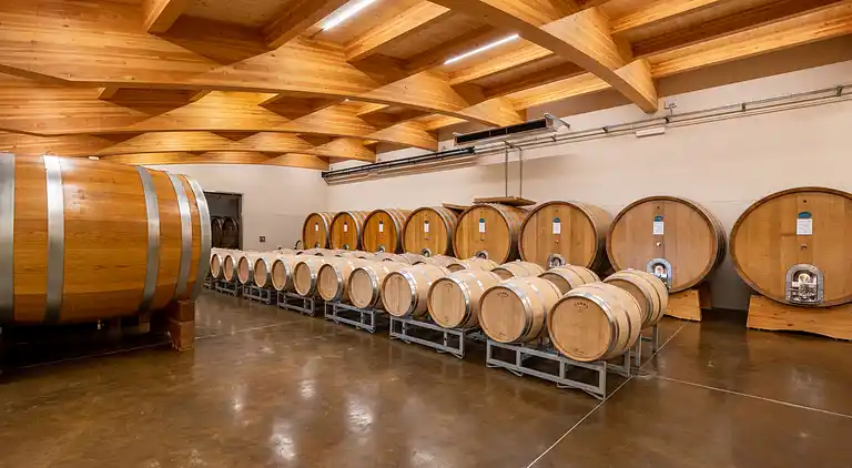 Holiday home in Barolo