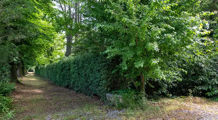 Holiday home in Mondovì