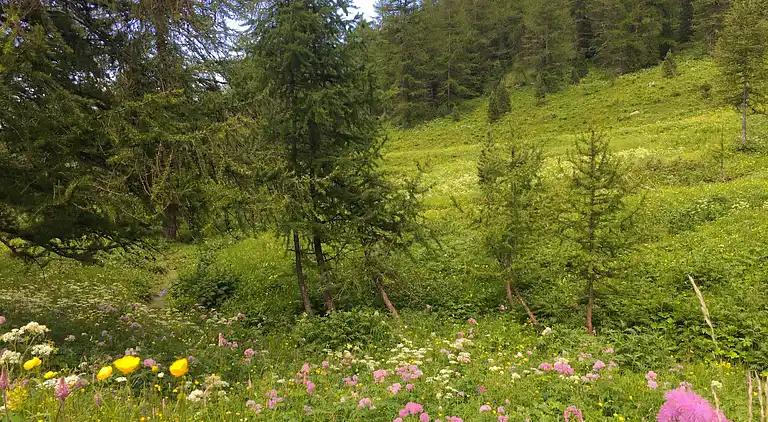 Holiday home in Calchesio