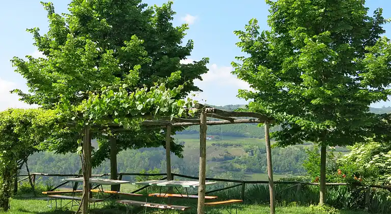 Feriebolig i Cossano Belbo